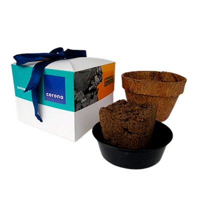 Kit: Caja de regalo y Maceta orgánica de coco con Semillas